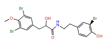 (R)-1-O-Methylhemibastadinol 2